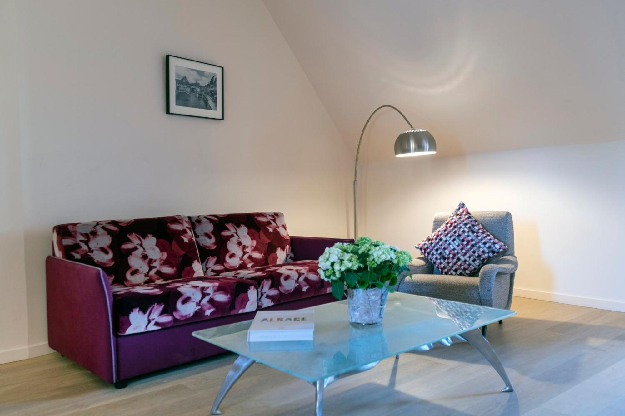 Hotel & Spa Regent Petite France Strasbourg Exterior photo A living room with a sofa and a floor lamp
